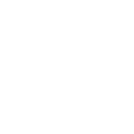 Icon representing a network